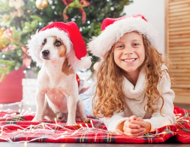 Karácsony a Palaceban Karácsony a Palaceban