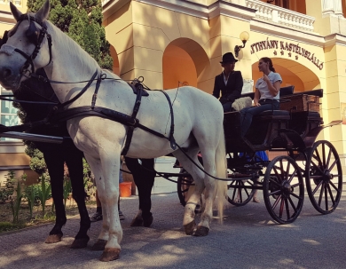 Pünkösdi Király Napok