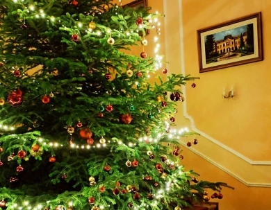 Kellemes Karácsonyi Wellness