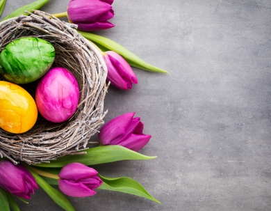 Húsvét és tavaszi szünet a Palace-ban Húsvét és tavaszi szünet a Palace-ban